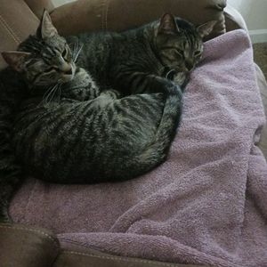 Meet your Posher, Sandra